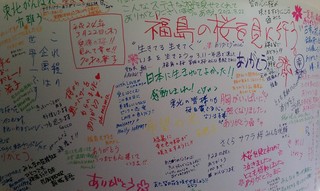 Sakura Project5.jpg