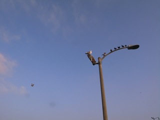 US7-5.JPG